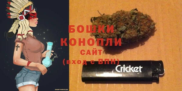 дурь Краснослободск