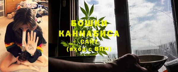 дурь Краснослободск